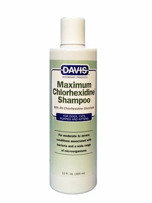 שמפו מקסימום %4 כלורקסידין Maximum Chlorhexidine Shampoo