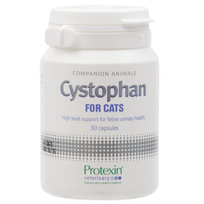 ציסטופאן לתמיכה במערכת השתן בחתולים Cystophan