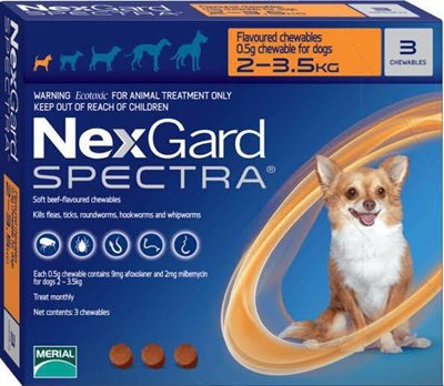 נקסגארד ספקטרה לכלבים במשקל 2-3.5 ק"ג NexGard Spectra