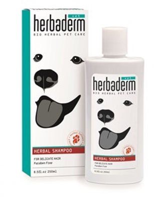 שמפו Herbaderm לטיפול בקשקשים
