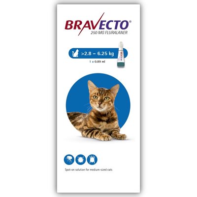 ברבקטו ספוט-און לחתולים במשקל 2.8-6.25 ק"ג Bravecto