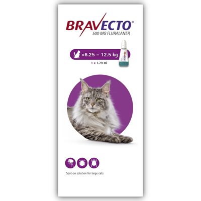 ברבקטו ספוט-און לחתולים במשקל 6.25-12.5 ק"ג Bravecto
