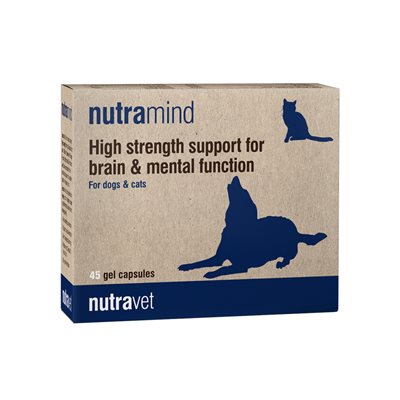 נוטרהמיינד תמיכה קוגנטיבית (45 קפסולות) - Nutramind