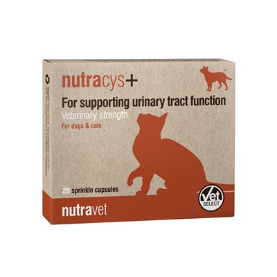 נוטרהציס תמיכה בשלפוחית (20 קפסולות) - Nutracys