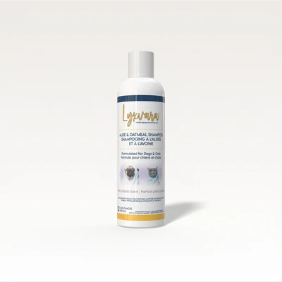 Aloe & Oatmeal Shampoo סווידרמה שמפו אלוורה ושיבולת שועל – 355 מ"ל