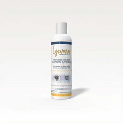 Bright Whitening Shampoo סווידרמה שמפו לפרווה לבנה – 355 מ"ל